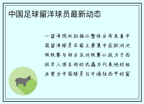 中国足球留洋球员最新动态